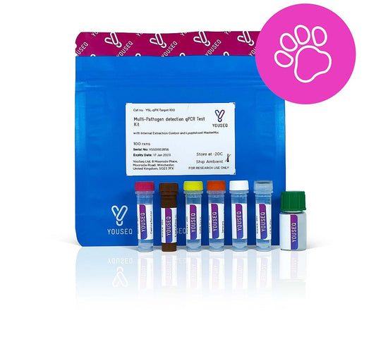 Influenza A H5N8 (Avian) Multiplex RT-qPCR kit