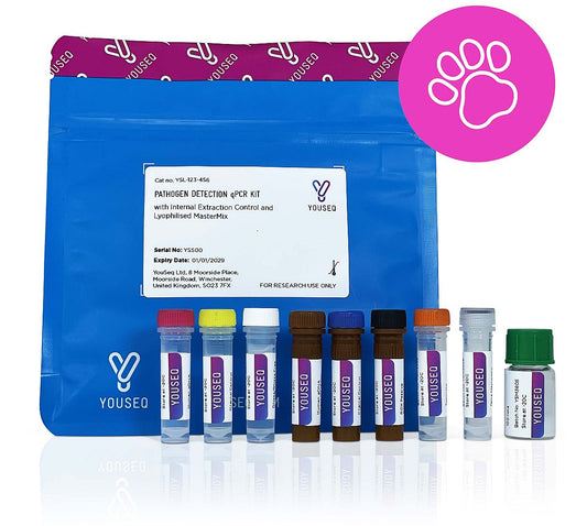 Infectious Bursal Disease Virus RT-qPCR Test Kit
