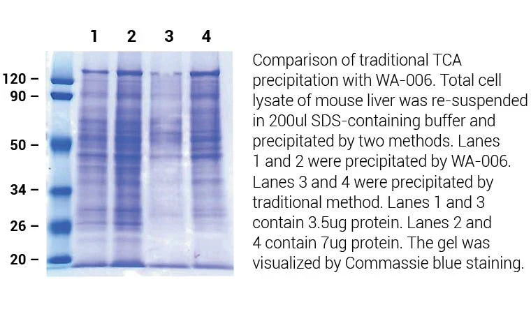 Minute TM High Efficiency Protein Precipitation kit