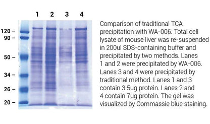 Minute TM High Efficiency Protein Precipitation kit