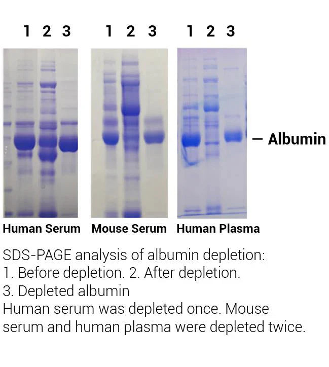 MinuteTM Albumin Depletion Reagent for Plasma and Serum