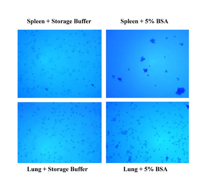 MinuteTM Anti-Clumping Nuclei Storage Buffer