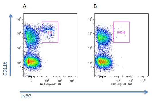anti-Neutrophils (mouse), mAb (blocking) (Nimp-R14) (preservative free)