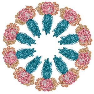 CD40L (human) (multimeric) (rec.)