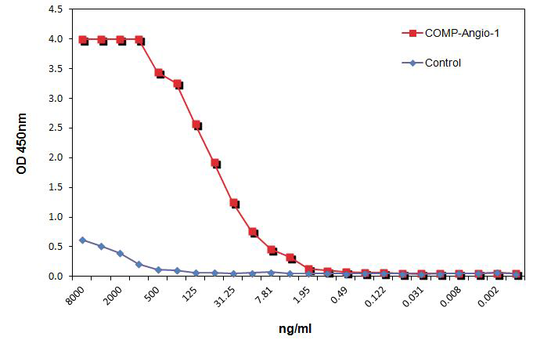 COMP (rat):Angiopoietin-1 (human) (rec.)