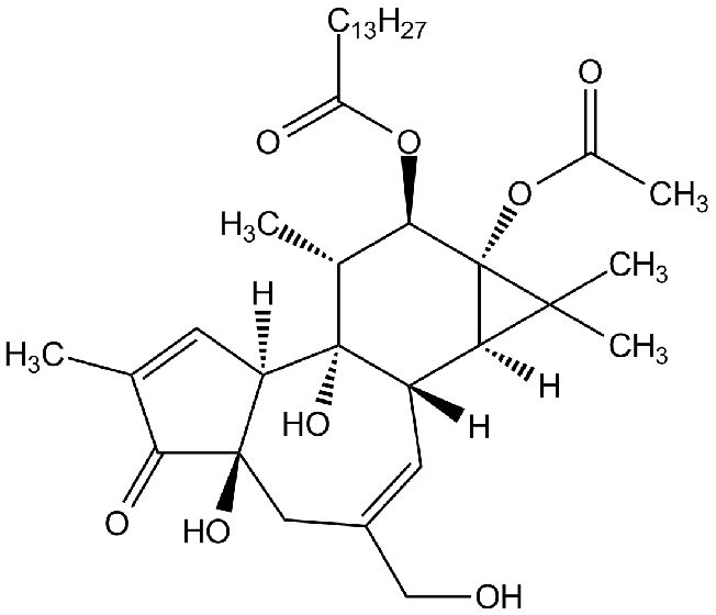 Phorbol 12-myristate 13-acetate [PMA]