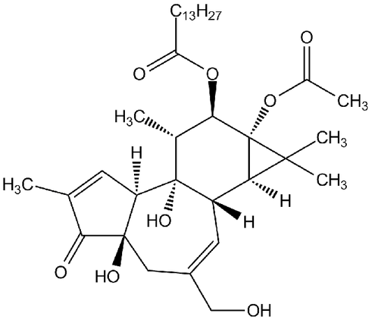 Phorbol 12-myristate 13-acetate [PMA]