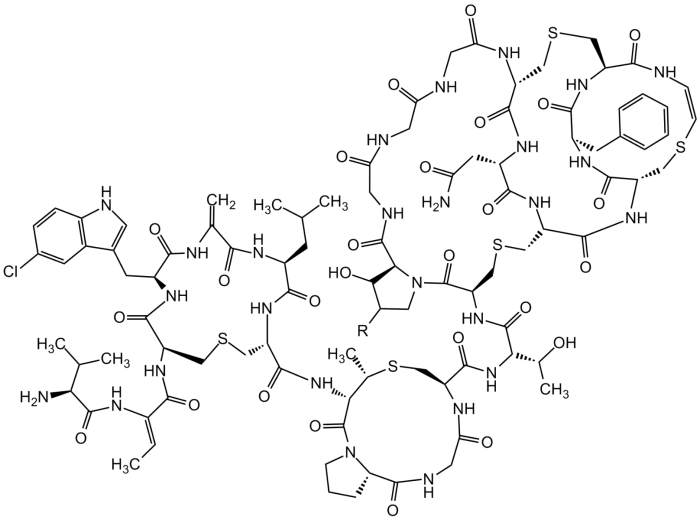 NAI-107 [Microbisporicin]