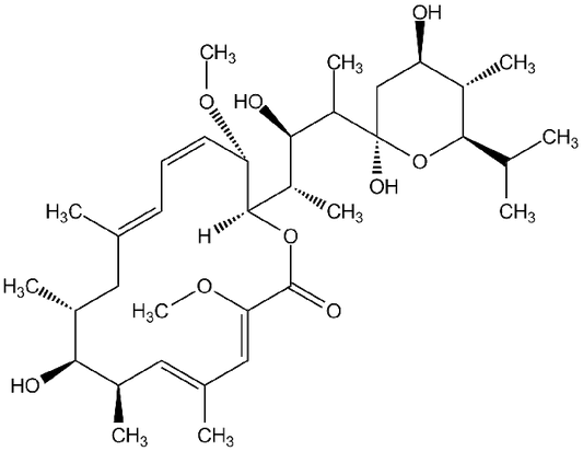 Bafilomycin A1 (high purity)