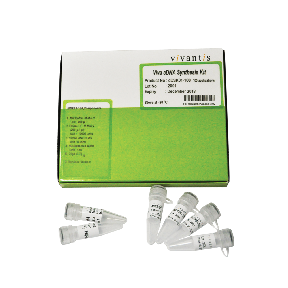 Viva cDNA Synthesis Kit