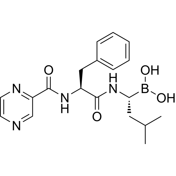 Bortezomib