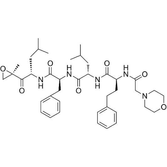 Carfilzomib