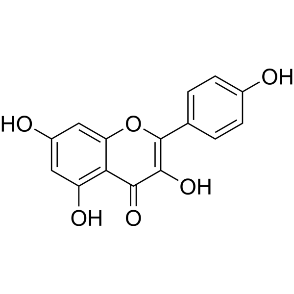 Kaempferol