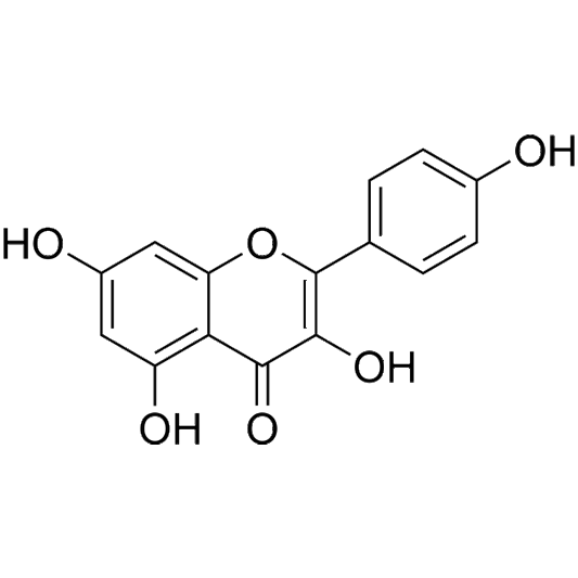 Kaempferol