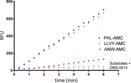 20S Immunoproteasome Assay Kit